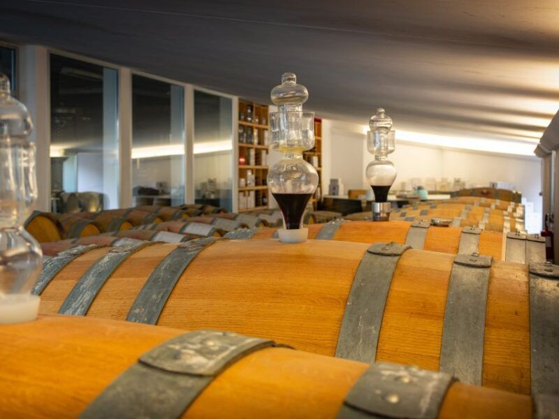 rimini-san-valentino-vineyards-tour-with-doc-wine-tastings