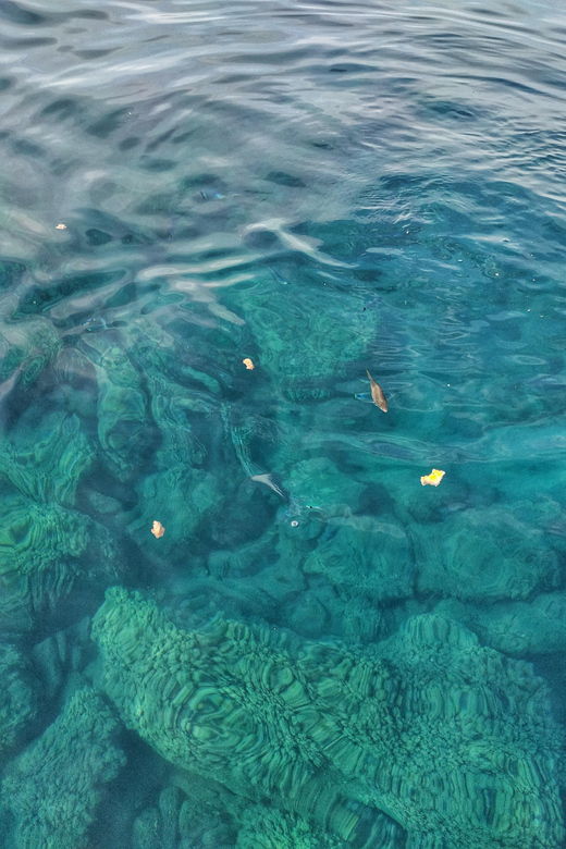 riomaggiore-cinque-terre-daytime-cruise-with-snorkeling
