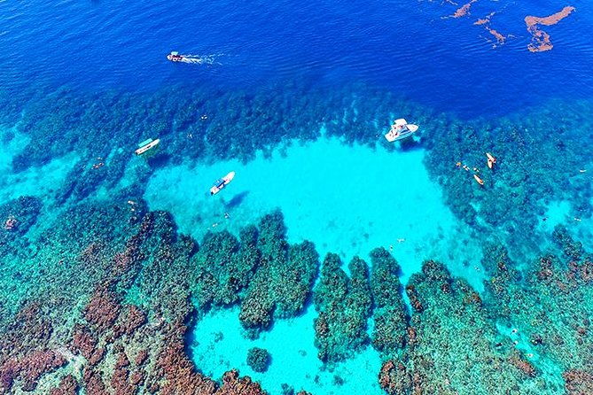 roatan-buggy-adventure-snorkeling-beach-pass-plus-private-transfer