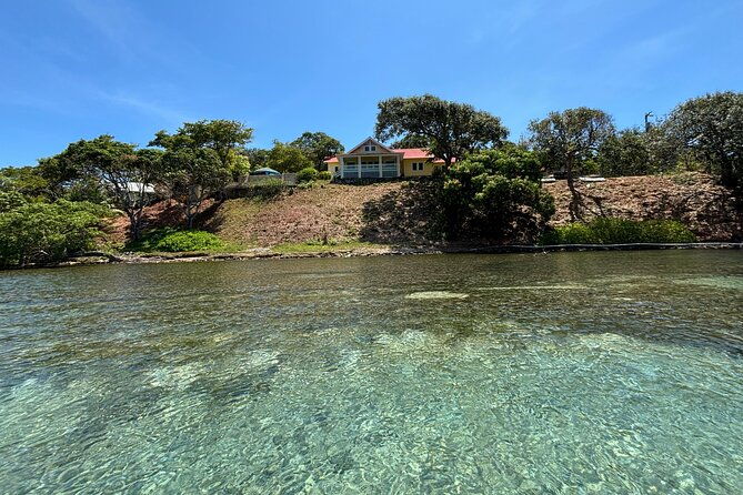 roatan-east-side-mangrove-tunnels-and-snorkel-adventure