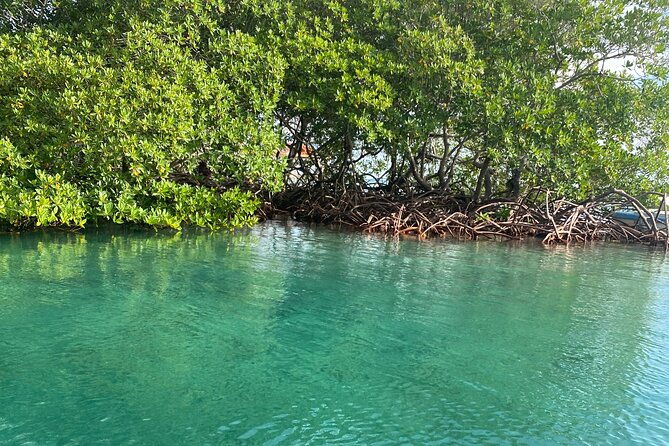 roatan-eastern-odyssey-mangroves-tunnel-atv-and-beach