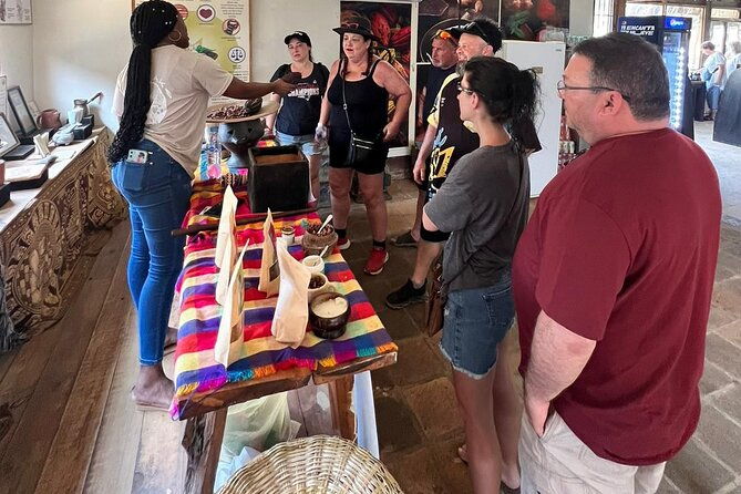 roatan-freestyle-private-tour-plus-lunch