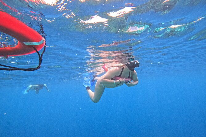 roatan-zipline-and-snorkel-adventure