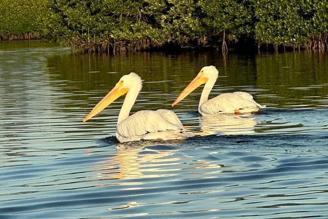 robinson-preserve-nature-walk-eco-tour