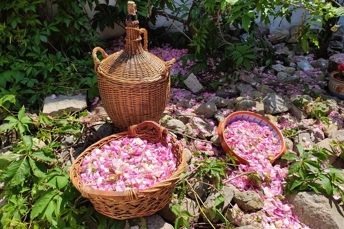 rose-jam-workshop-and-leavening-of-authentic-yoghurt-in-a-traditional-house