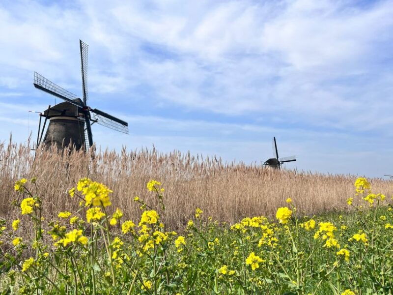 rotterdam-waterbus-ticket-to-dordrecht-and-or-kinderdijk