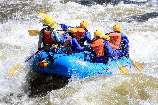 royal-gorge-full-day-rafting