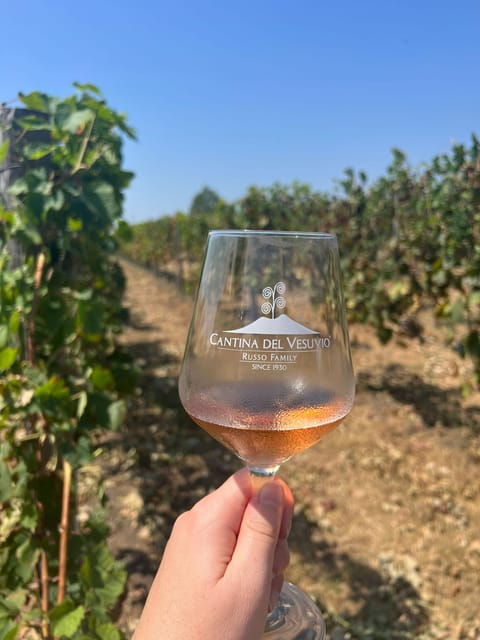 ruinsfinds-and-tastingsa-tour-between-history-and-flavours