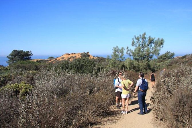 runyon-canyon-hiking-tour