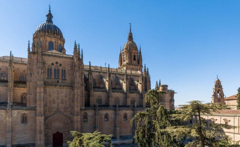 salamanca-cathedral-of-salamanca-ticket-with-audio-guide