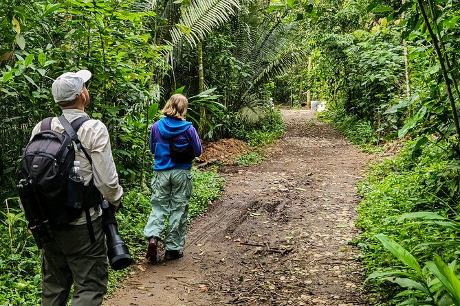 salento-birding-along-the-torrent-river