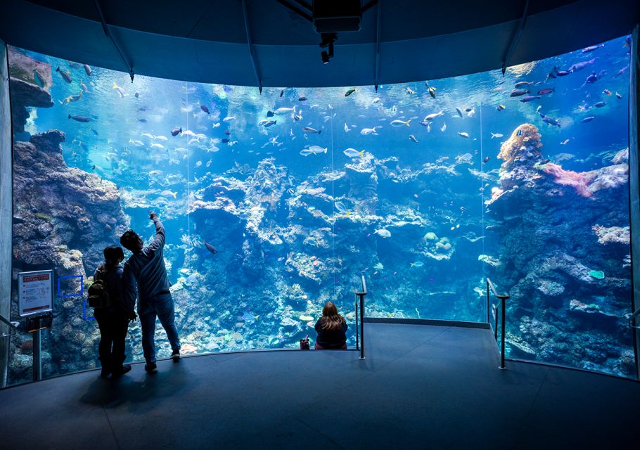 san-francisco-california-academy-of-sciences-entry-ticket