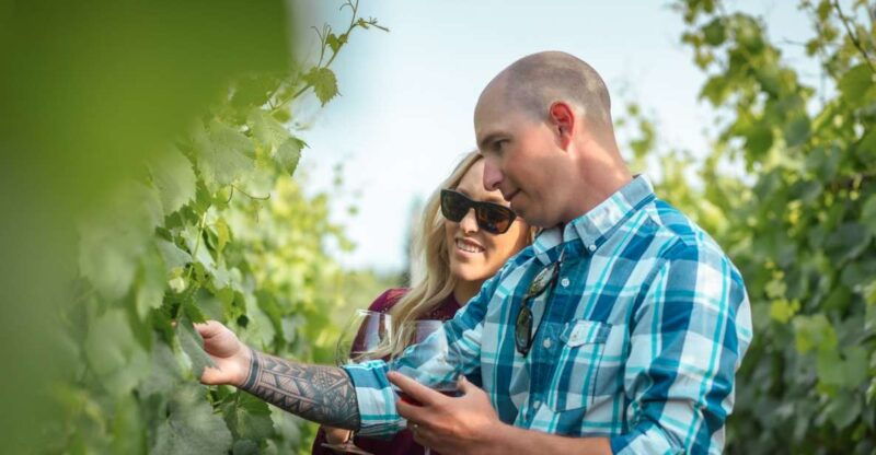san-francisco-sonoma-wine-country-tour-with-tastings