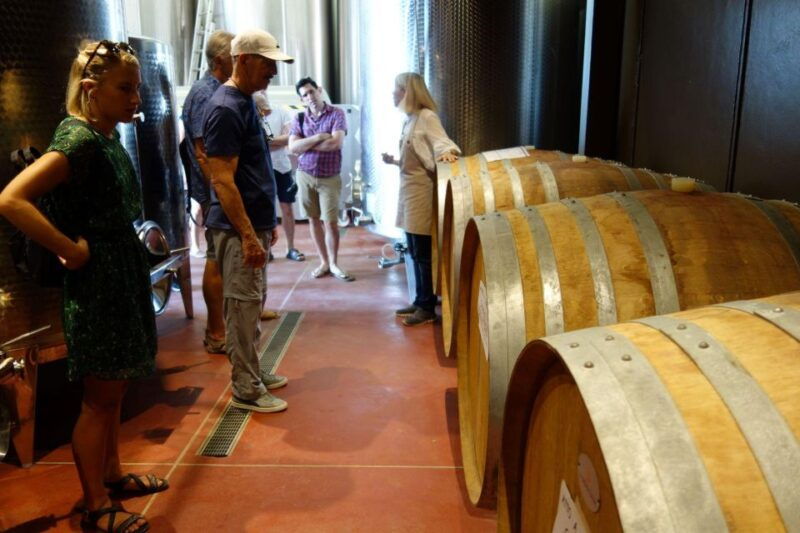 san-gimignano-premium-wine-tour-with-lunch