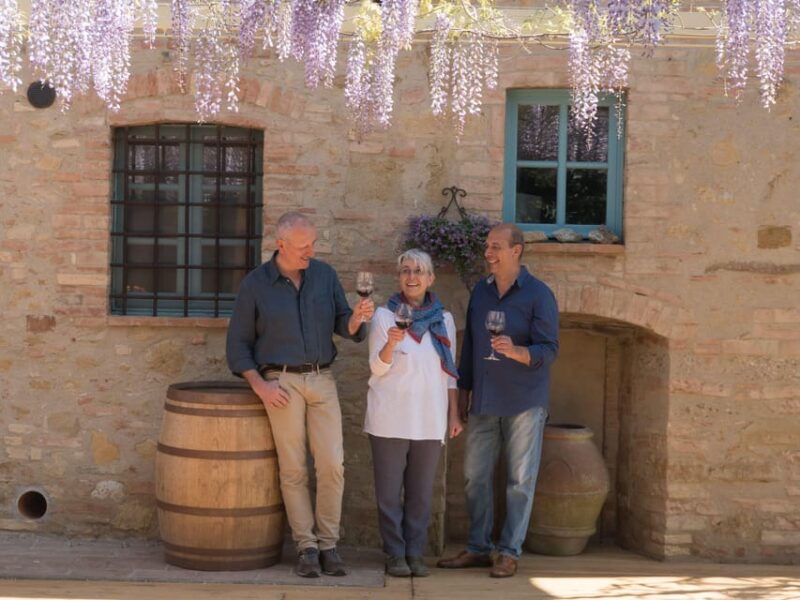 san-gimignano-wine-tasting-with-aperitivo-in-the-vineyard