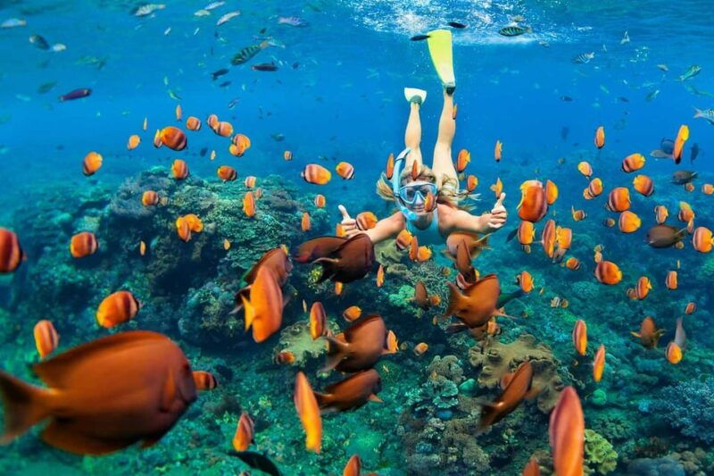 san-juan-beach-cabo-huertas-alicante-rental-bike-snorkel