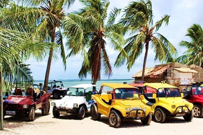 sand-dunes-of-mangue-seco-private-full-day-tour-from-salvador