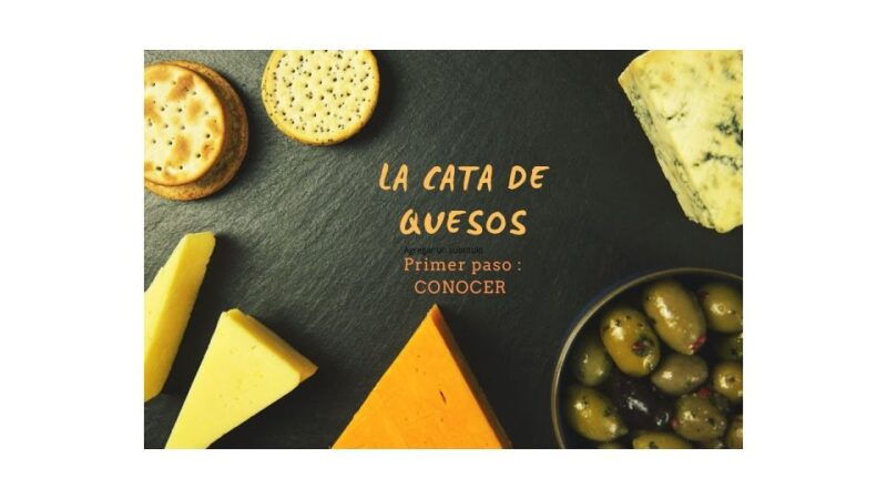 santiago-de-compostela-cheese-and-wine-tasting-experience-5