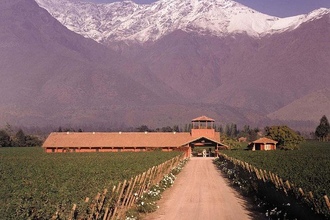 santiago-full-day-tour-to-maipo-valley-include-entraces