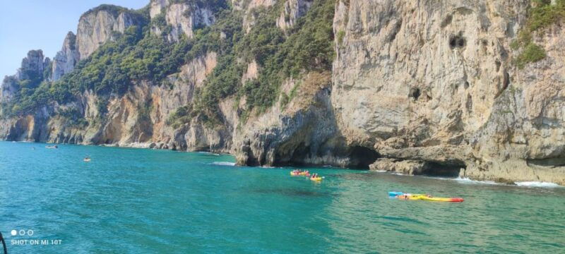 santona-anchovy-factory-tour-and-boat-trip