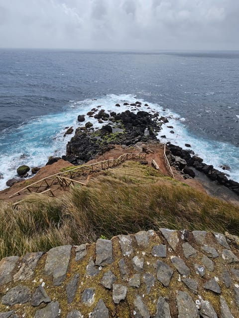 sao-jorge-island-forest-reserve-fajas-guided-tour