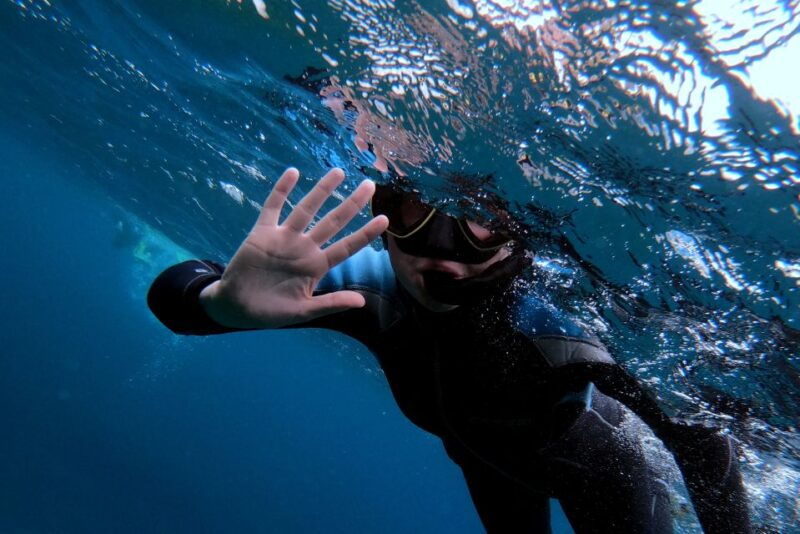sao-miguel-snorkeling-around-vila-franca-do-campo