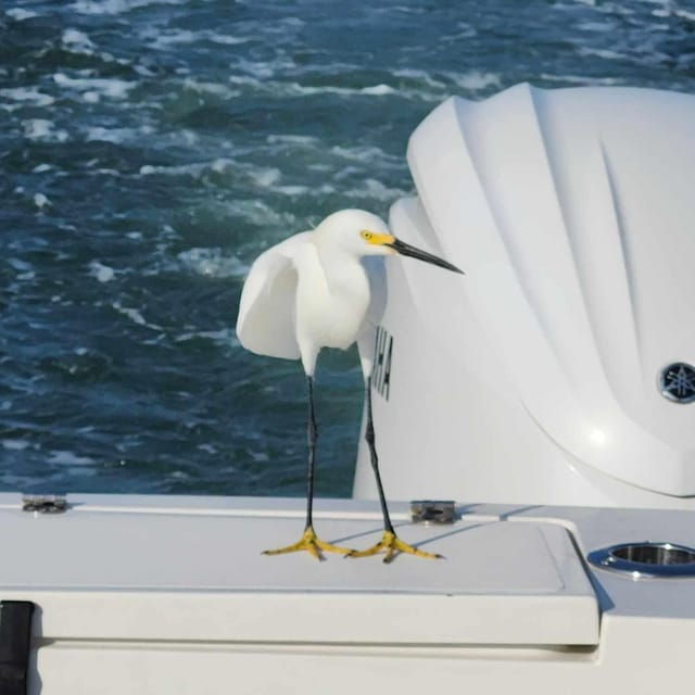 sarasota-sunset-charter