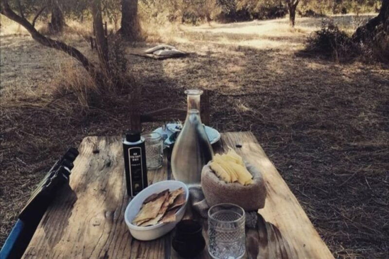 sardinian-olive-oil-tasting-picnic-among-the-olive-trees