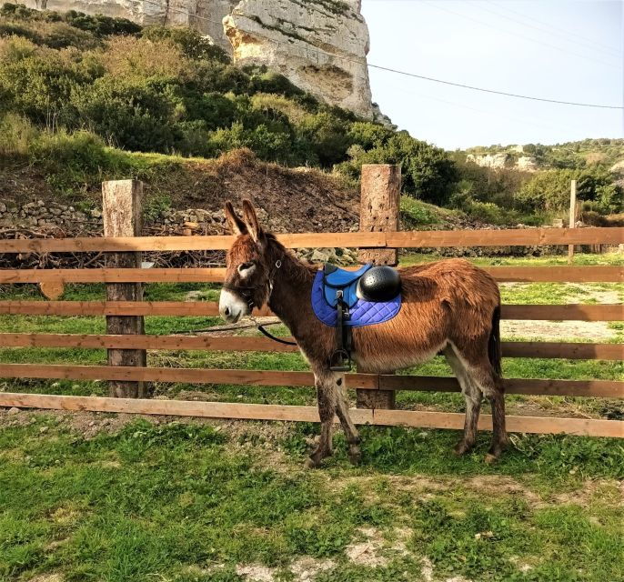 sassari-hiking-with-donkeys-in-cargeghe-and-aperitif
