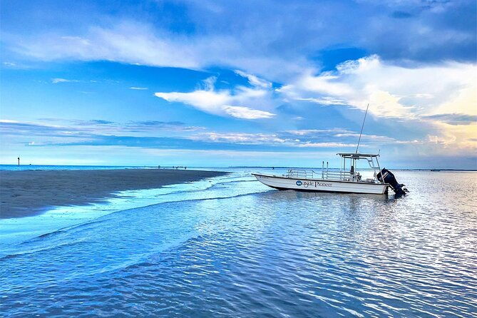 savannah-coastal-dolphin-eco-tour
