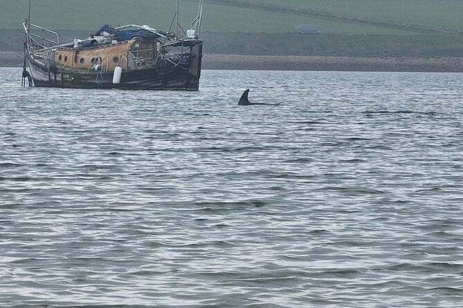 scapa-tours