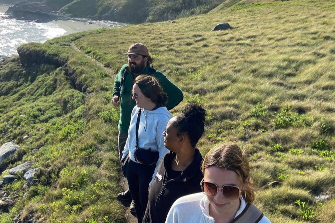 scenic-coast-and-wildlife-tour