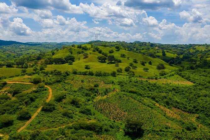 scenic-horseback-ride-in-tropical-mountain-reserve