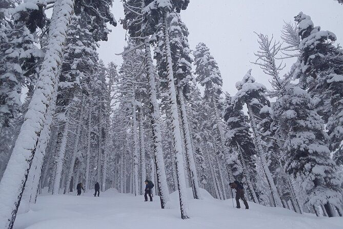 scenic-sunset-snowshoe-tour