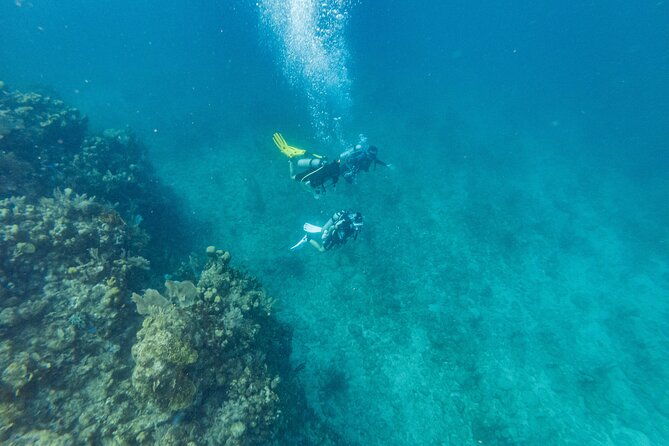 scuba-dive-in-the-west-end-of-roatan-with-private-transfer