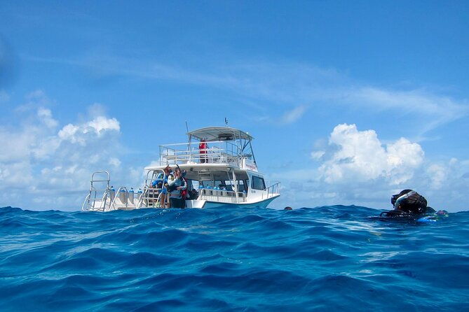 scuba-diving-for-beginners-2