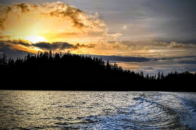 sea-it-all-private-sitka-wildlife-land-sea-combo-for-6-w-meal