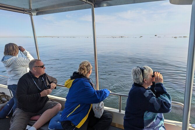 seal-watching-tour-near-malusi-islands