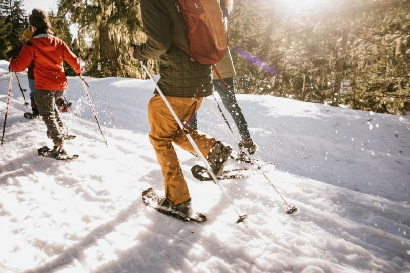 seattle-longmire-in-mount-rainier-winter-day-tour