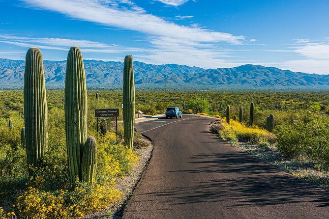 self-guided-driving-audio-tour-of-saguaro-national-park