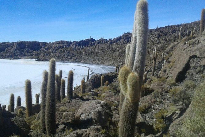 semi-private-3-day-uyuni-salt-flats-and-colored-lagoons-w-private-hotel