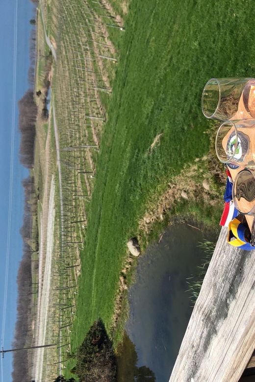 seneca-lake-wine-tasting-tour-with-lunch