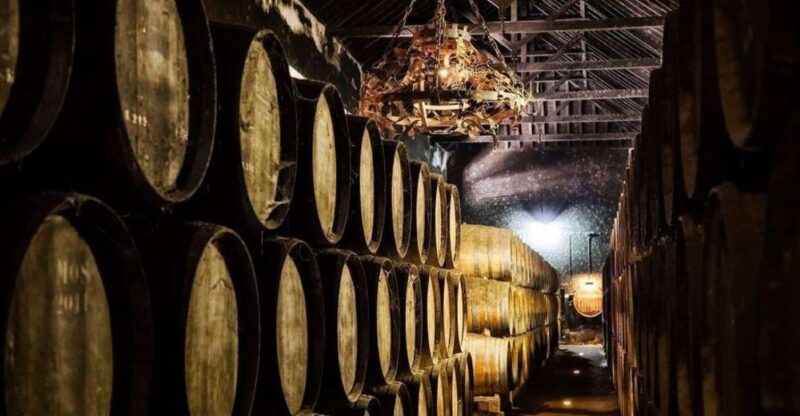 setubal-wine-tour-discover-the-moscatel-wine