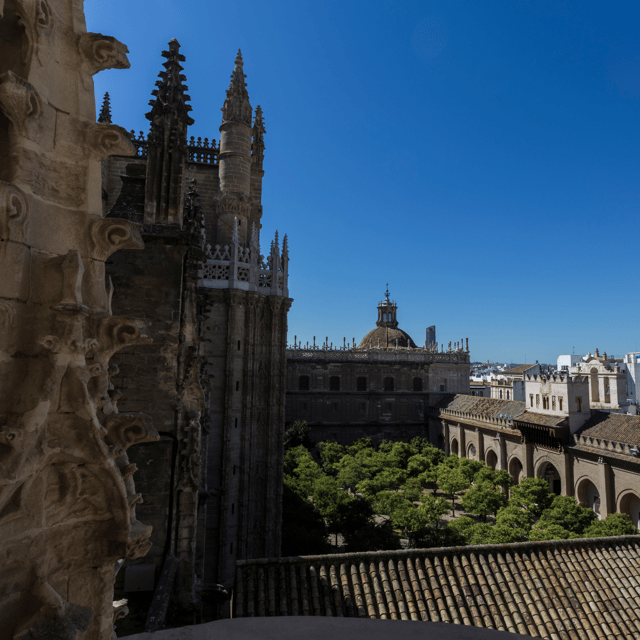 seville-fast-track-cathedral-giralda-tower-last-minute-tour
