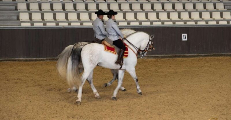 seville-horses-show-entry-ticket-optional-stud-farm-visit