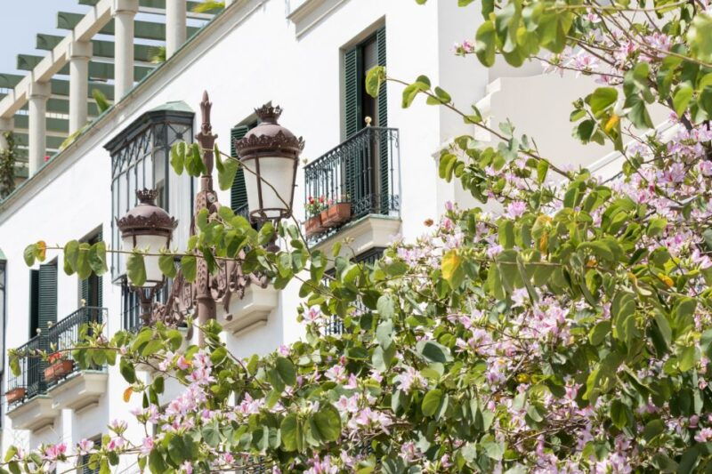seville-jewish-quarter-walking-tour-santa-cruz-district