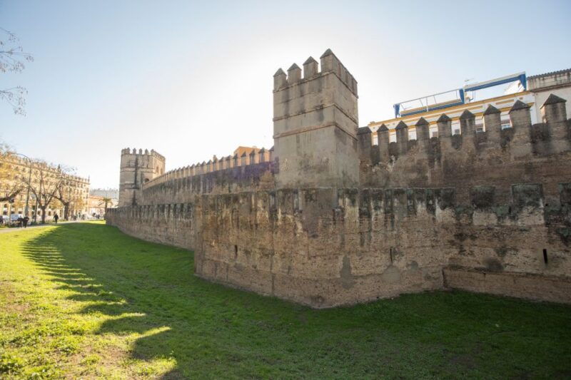 seville-palace-of-las-duenas-la-macarena-the-mushrooms-tour