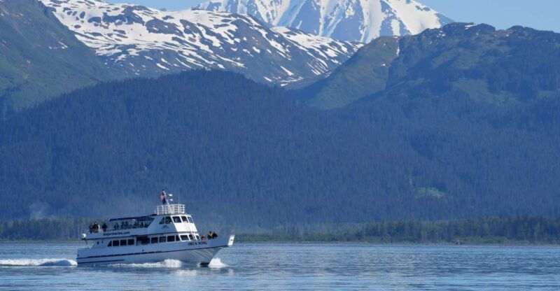 seward-resurrection-bay-orca-quest-cruise