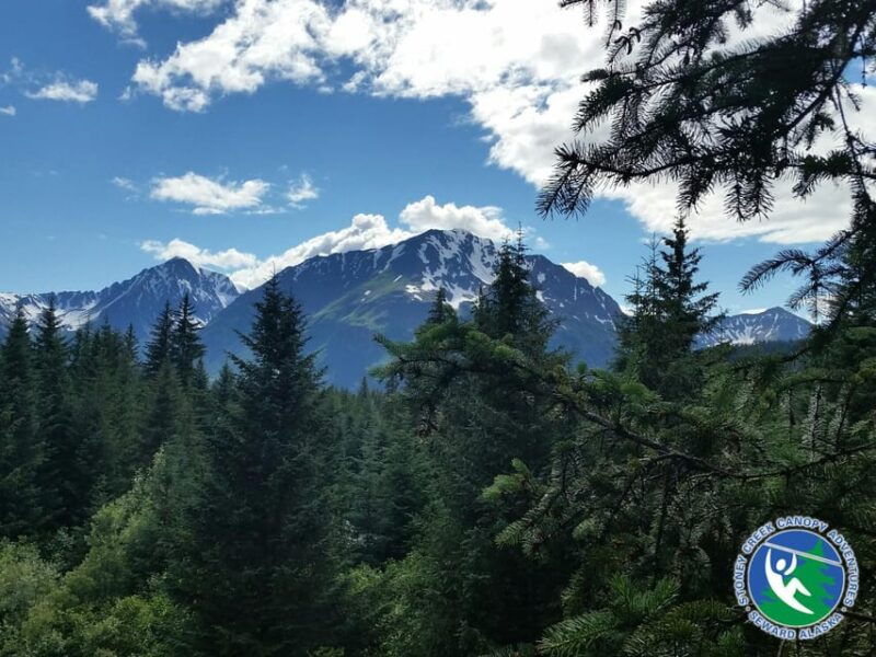 seward-stoney-creek-canopy-tour-with-zipline