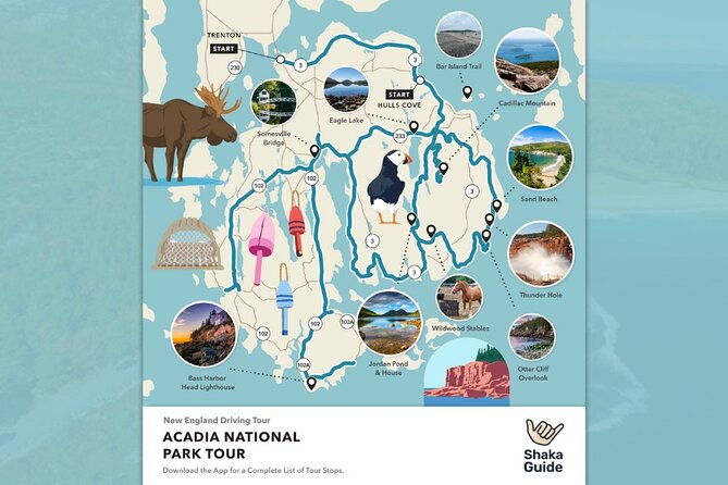 shaka-guide-acadia-national-park-audio-tour-guide